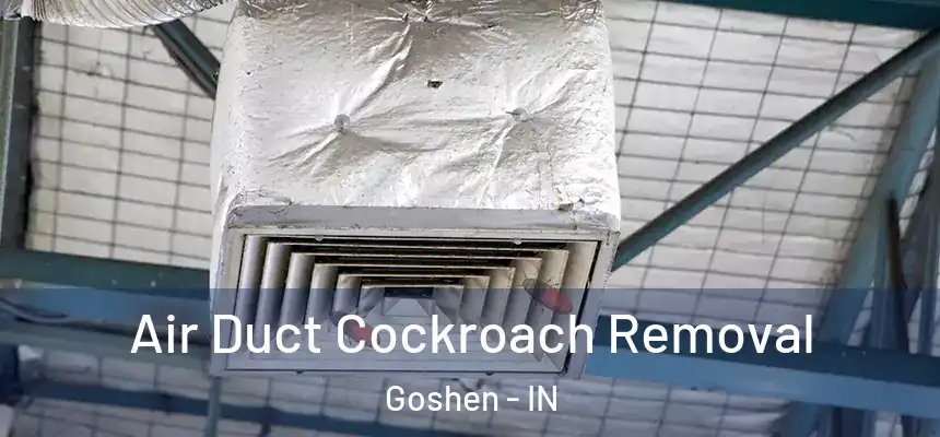 Air Duct Cockroach Removal Goshen - IN