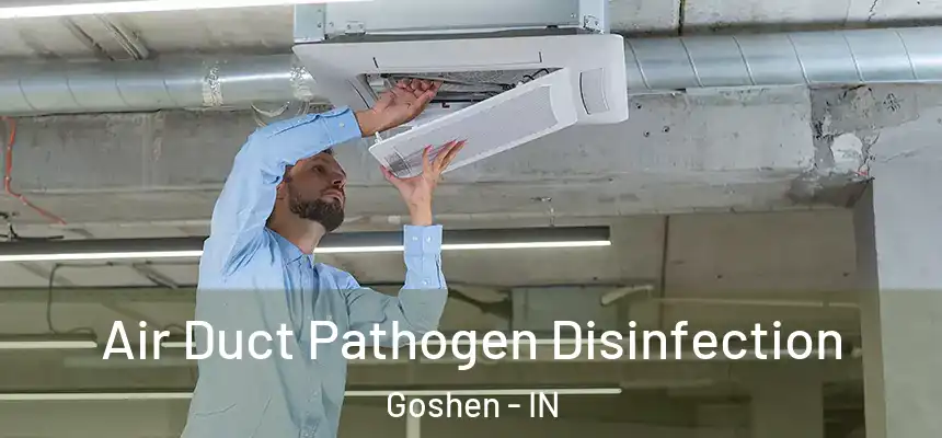  Air Duct Pathogen Disinfection Goshen - IN