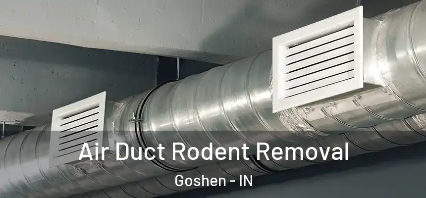  Air Duct Rodent Removal Goshen - IN