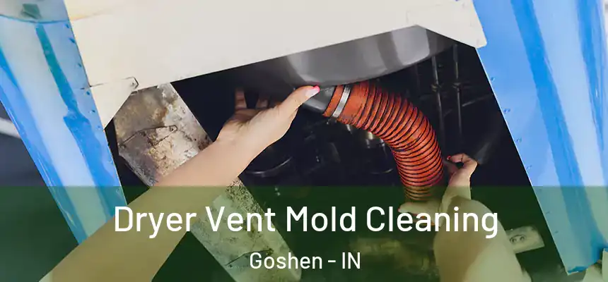  Dryer Vent Mold Cleaning Goshen - IN
