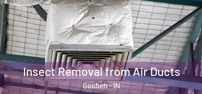  Insect Removal from Air Ducts Goshen - IN