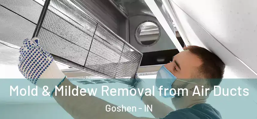  Mold & Mildew Removal from Air Ducts Goshen - IN