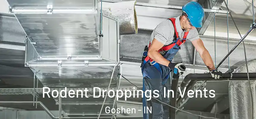 Rodent Droppings In Vents Goshen - IN