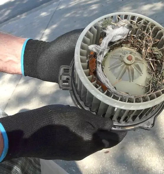 About Air Duct Rat Removal in Goshen, IN