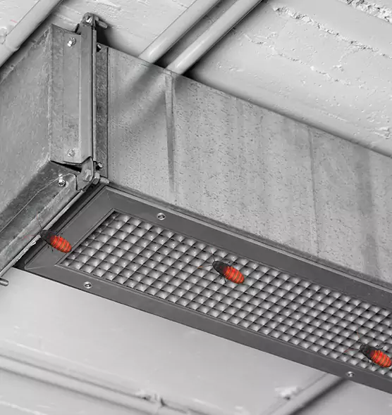 Affordable Insect Removal from Air Ducts in Goshen, IN