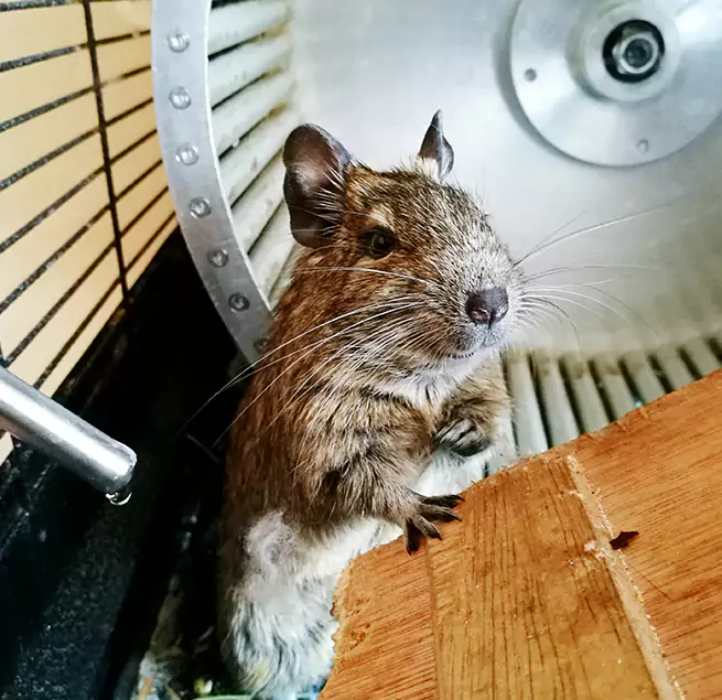 Why Homeowners & Businesses Trust Us Goshen, IN?